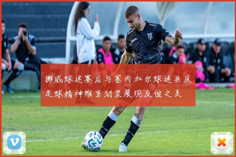 挪威球迷赛后与塞内加尔球迷共庆足球精神维京划桨展现友谊之美